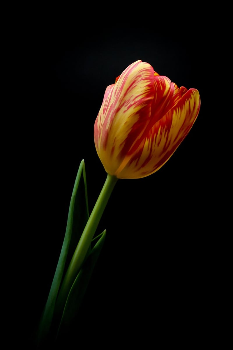 Vertical Flower Displays
